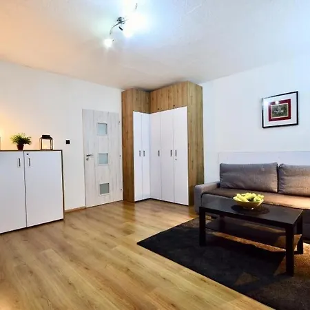 Apartment Apartman - Klinovec Jachymov